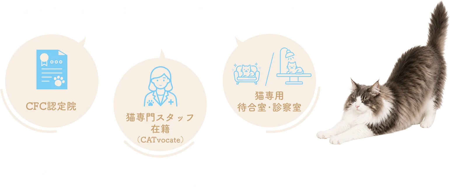 猫にも安心の環境。CFC認定院、猫専門スタッフ在籍、猫専用の待合室・診察室を完備