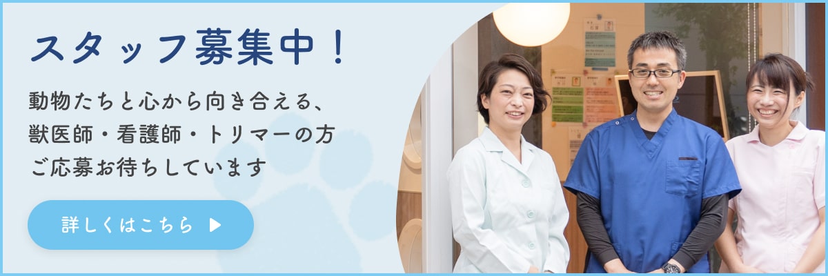 スタッフ募集中！動物たちと心から向き合える獣医師・看護師・トリマーの方、ご応募お待ちしています